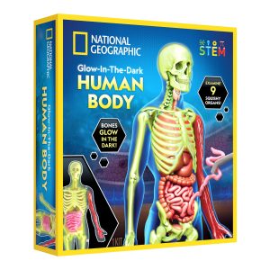 National Geographic™ Glow-in-the-Dark Human Body