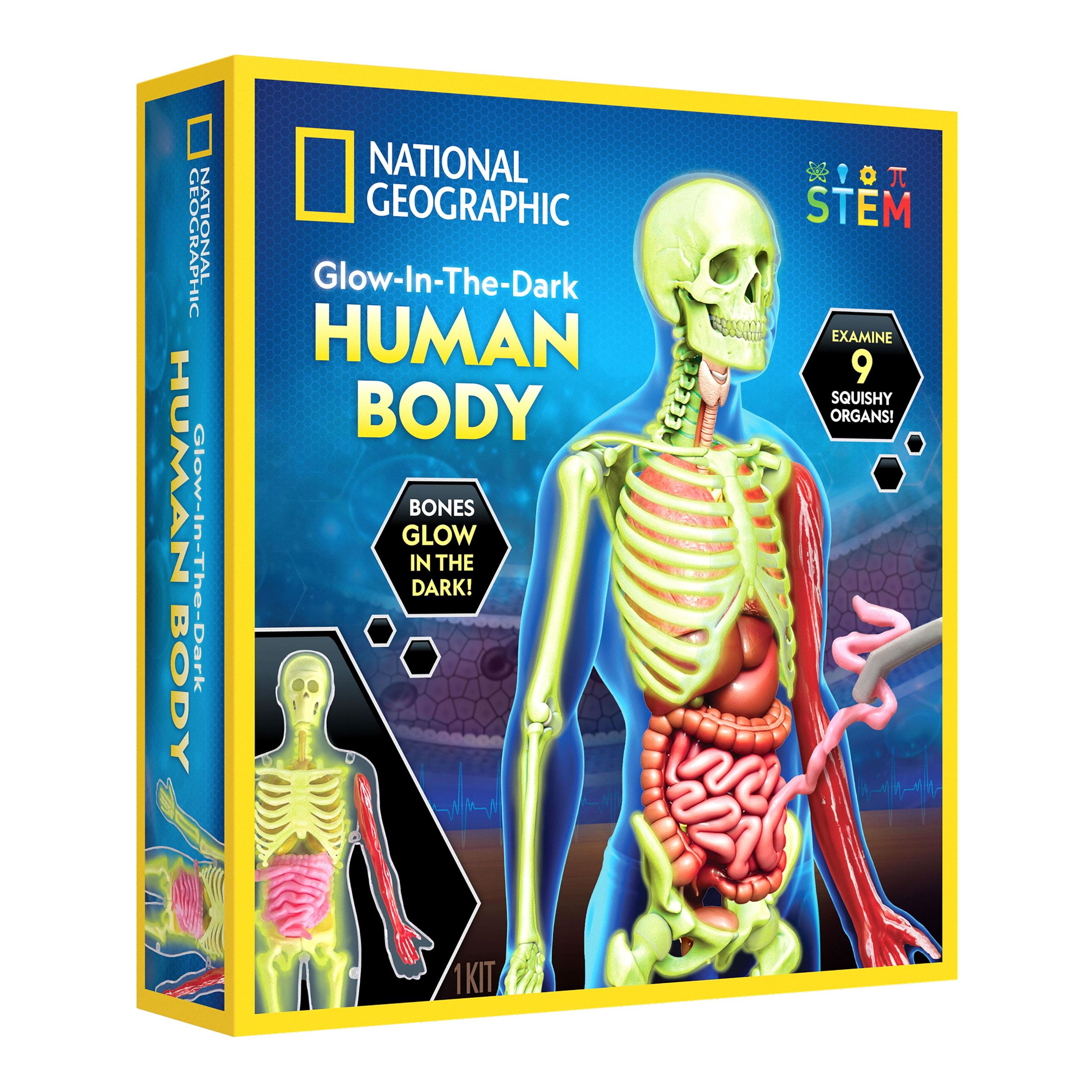 National Geographic™ Glow-in-the-Dark Human Body