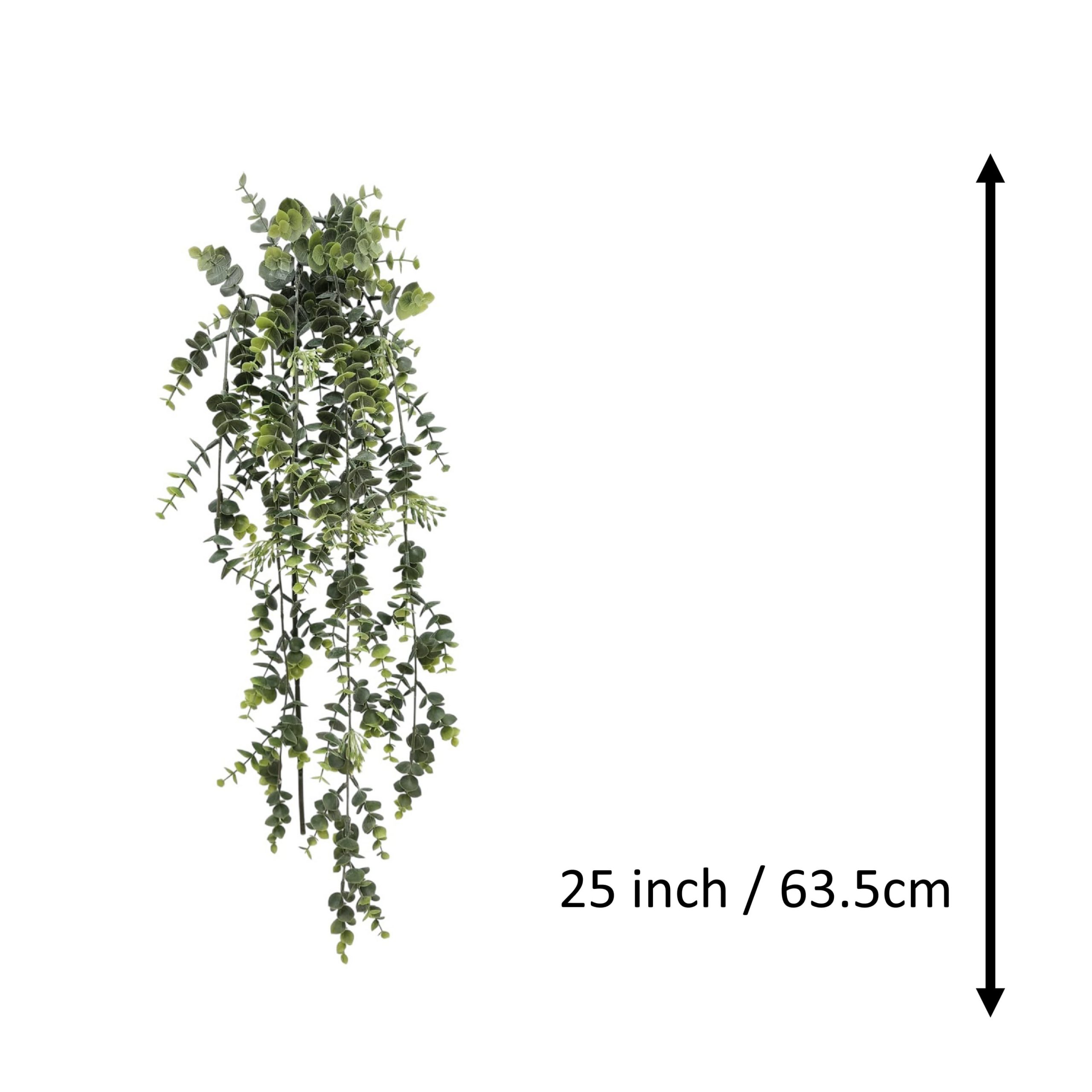 4ft. Green Hanging Eucalyptus Stem by Ashland® - Image 3