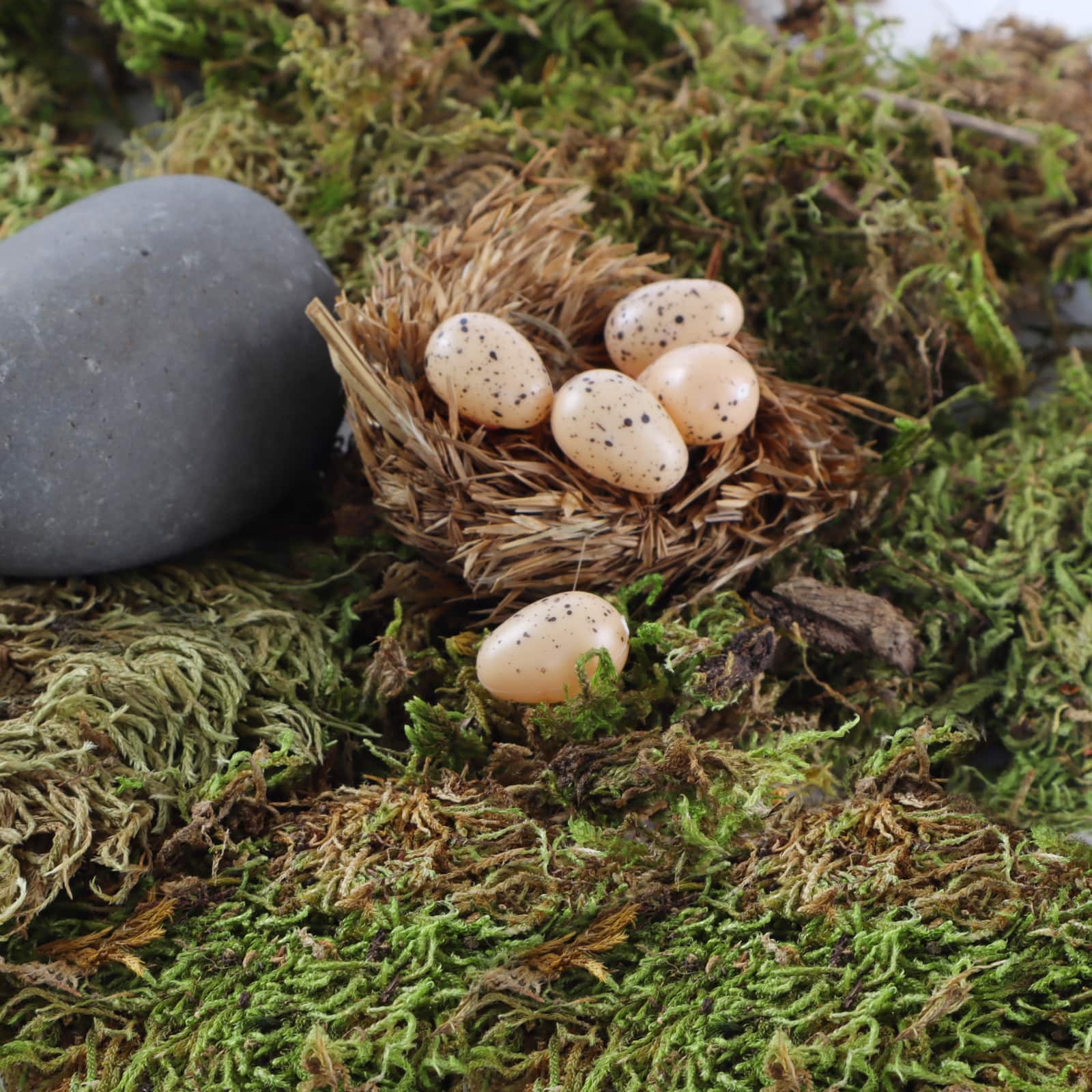 Nature Center Speckled Tan Eggs by Ashland® - Image 3