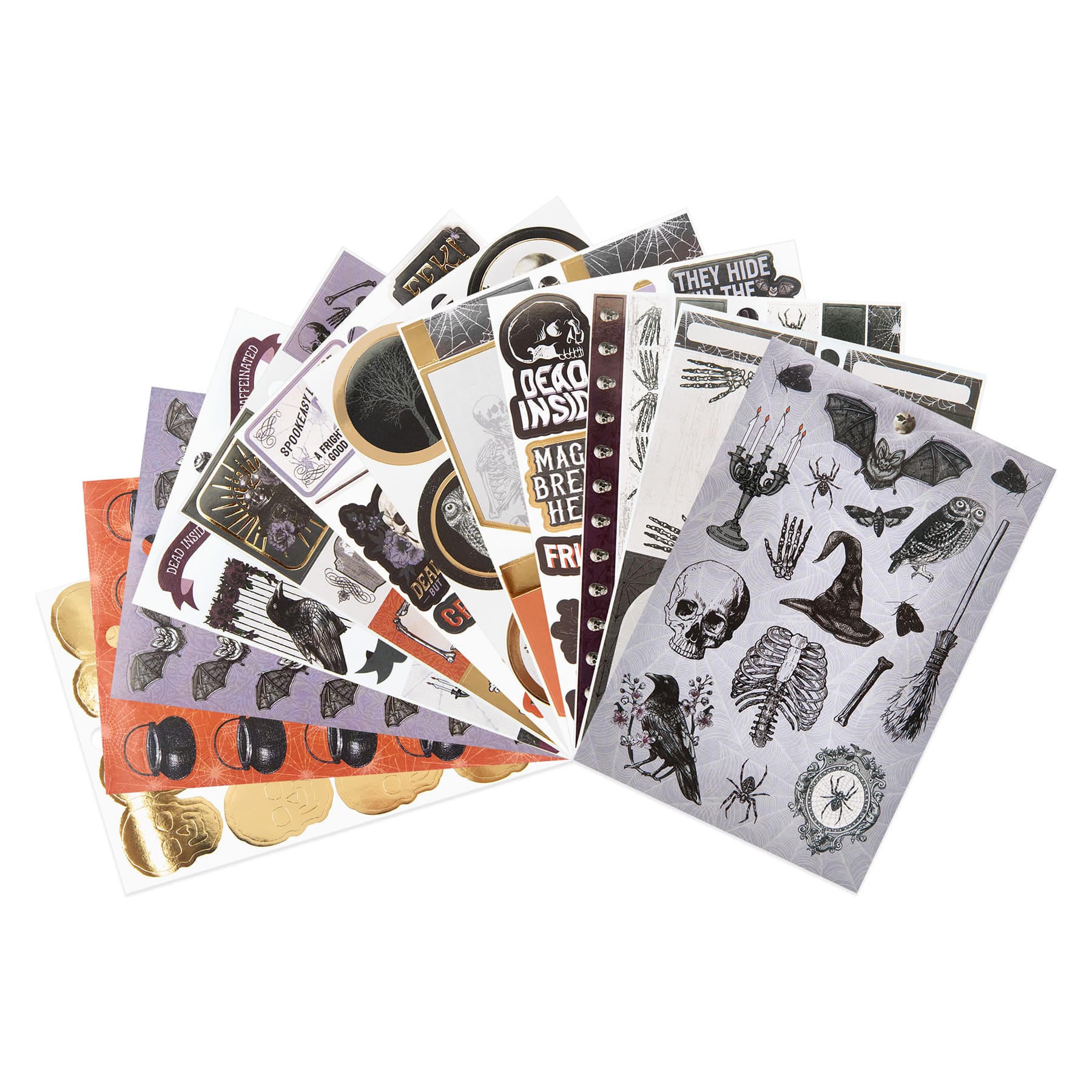 Hallowed Halls Sticker Book by Recollections™