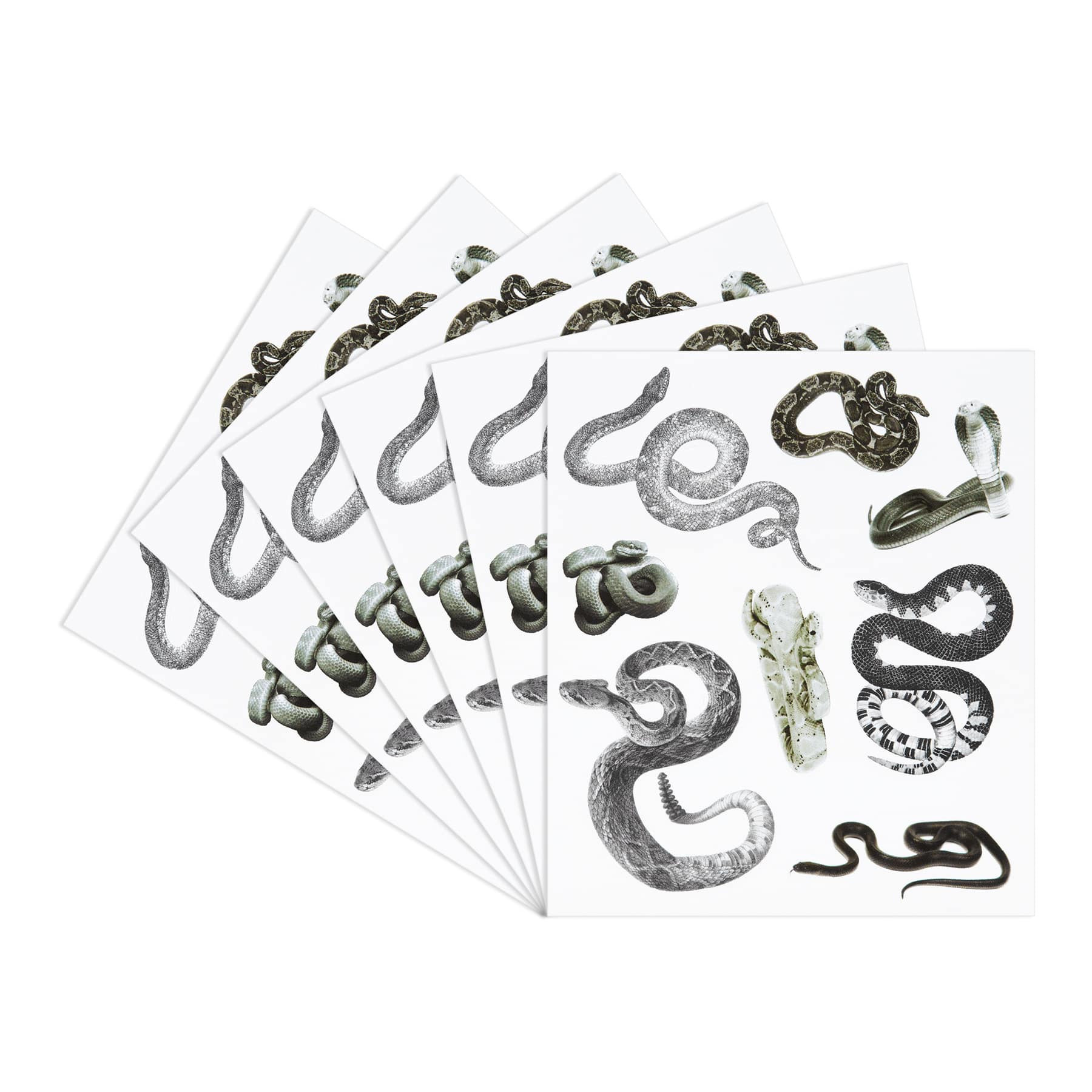 Monochrome Snake Stickers by Recollections™