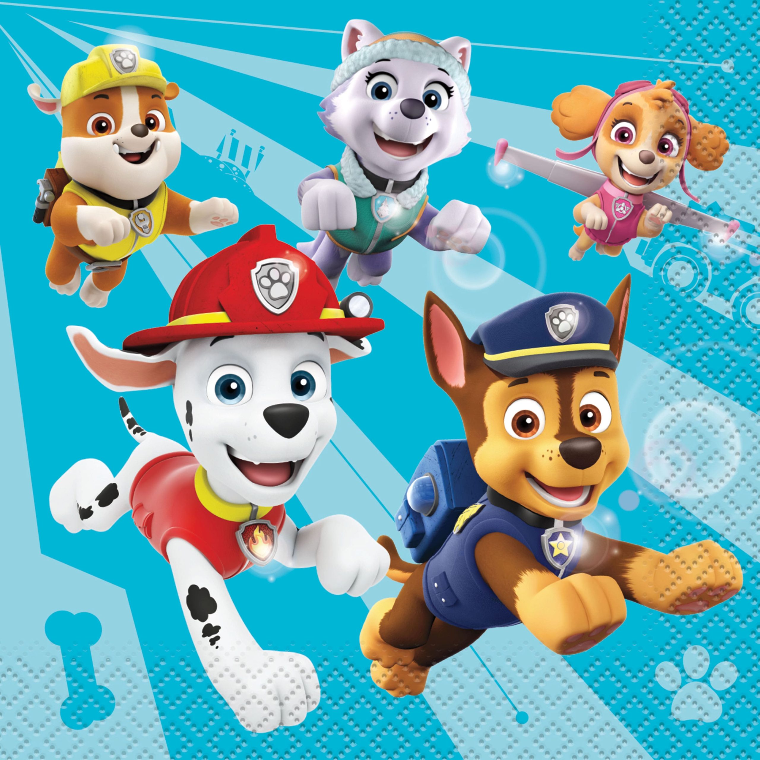 PAW Patrol™ Beverage Napkins, 16ct.