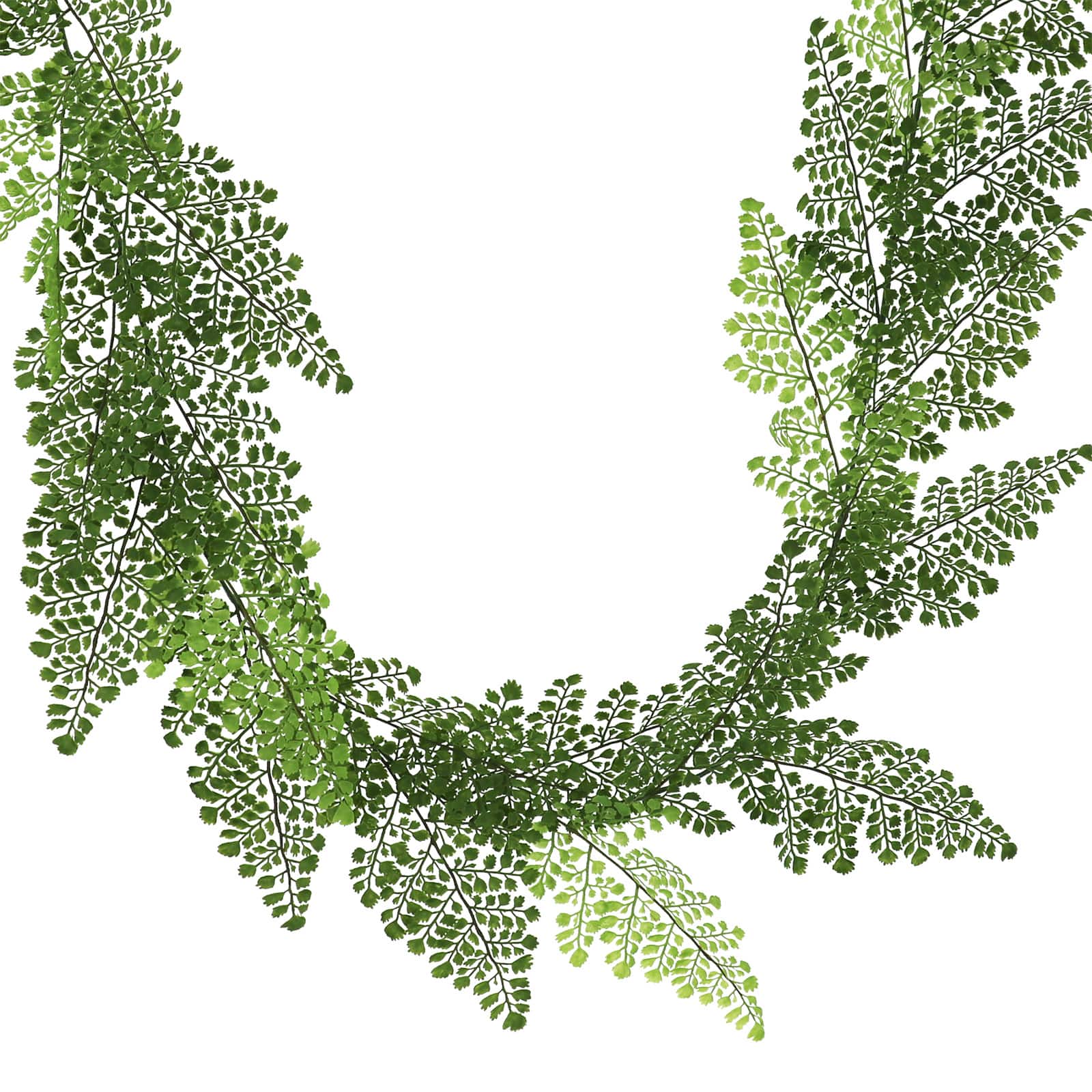 6ft. Maidenhair Fern Garland by Ashland® - Image 2