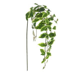 22" Hanging Hoya Leaf Stem by Ashland®