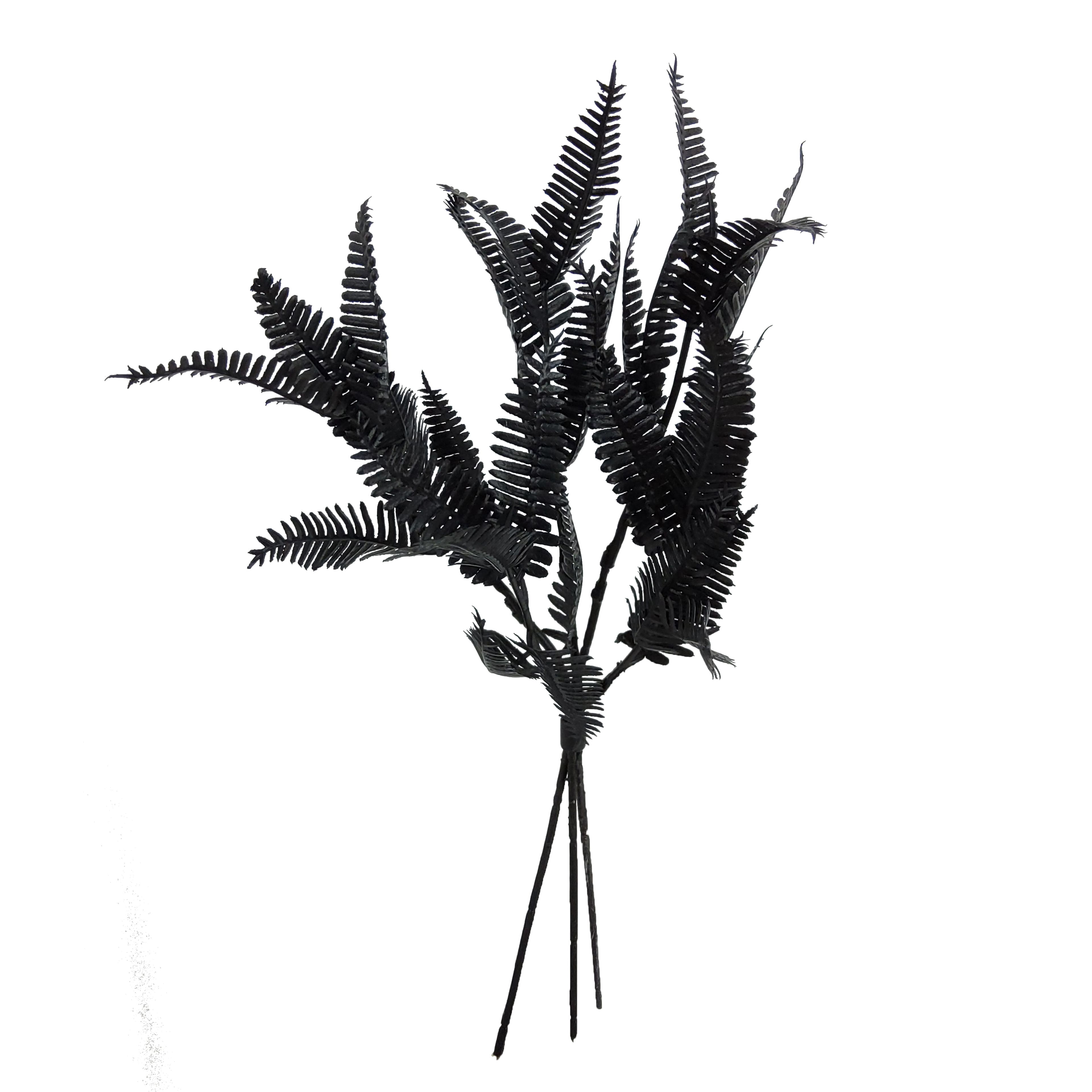 12" Black Fern Mini Bundle by Ashland®