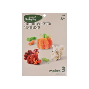 Thanksgiving Chenille Stem Craft Kit by Creatology™