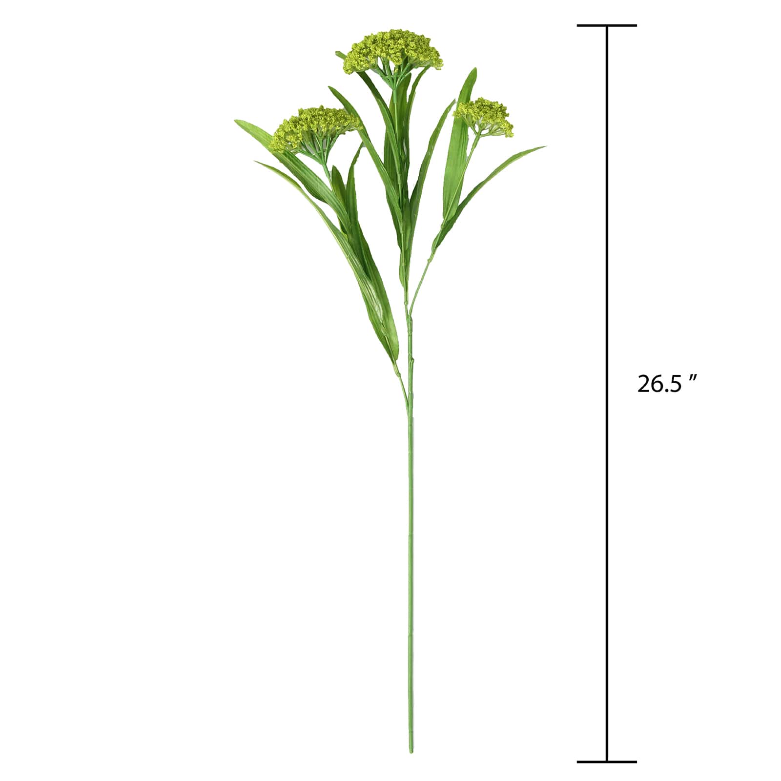 Green Queen Anne's Lace Stem by Ashland® - Image 4